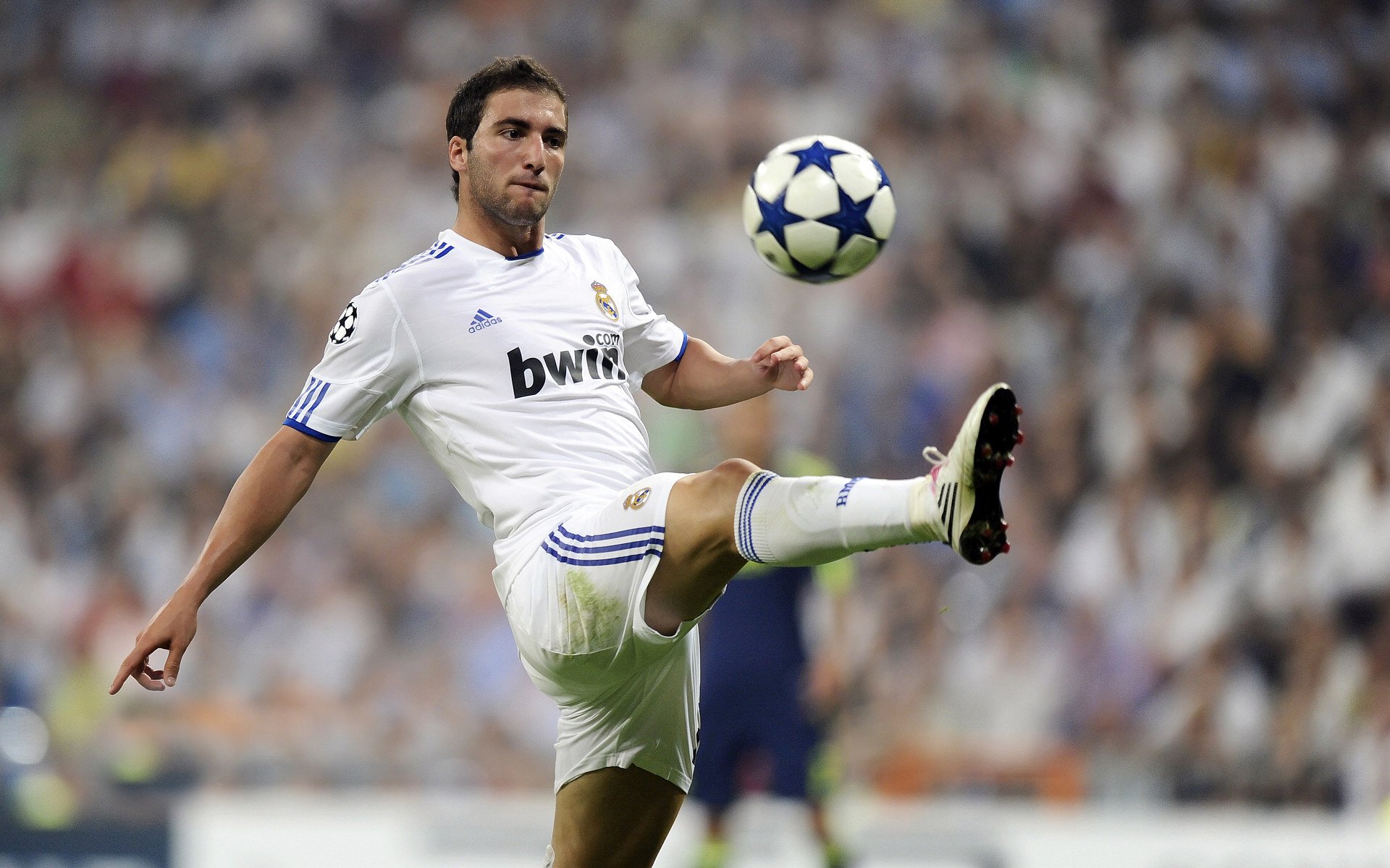 布莱顿整体推进结构清晰形成压制态势，什么是布莱顿学派